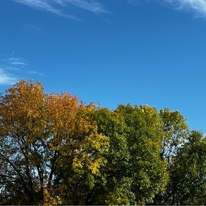 Meet your Posher, Clothes_